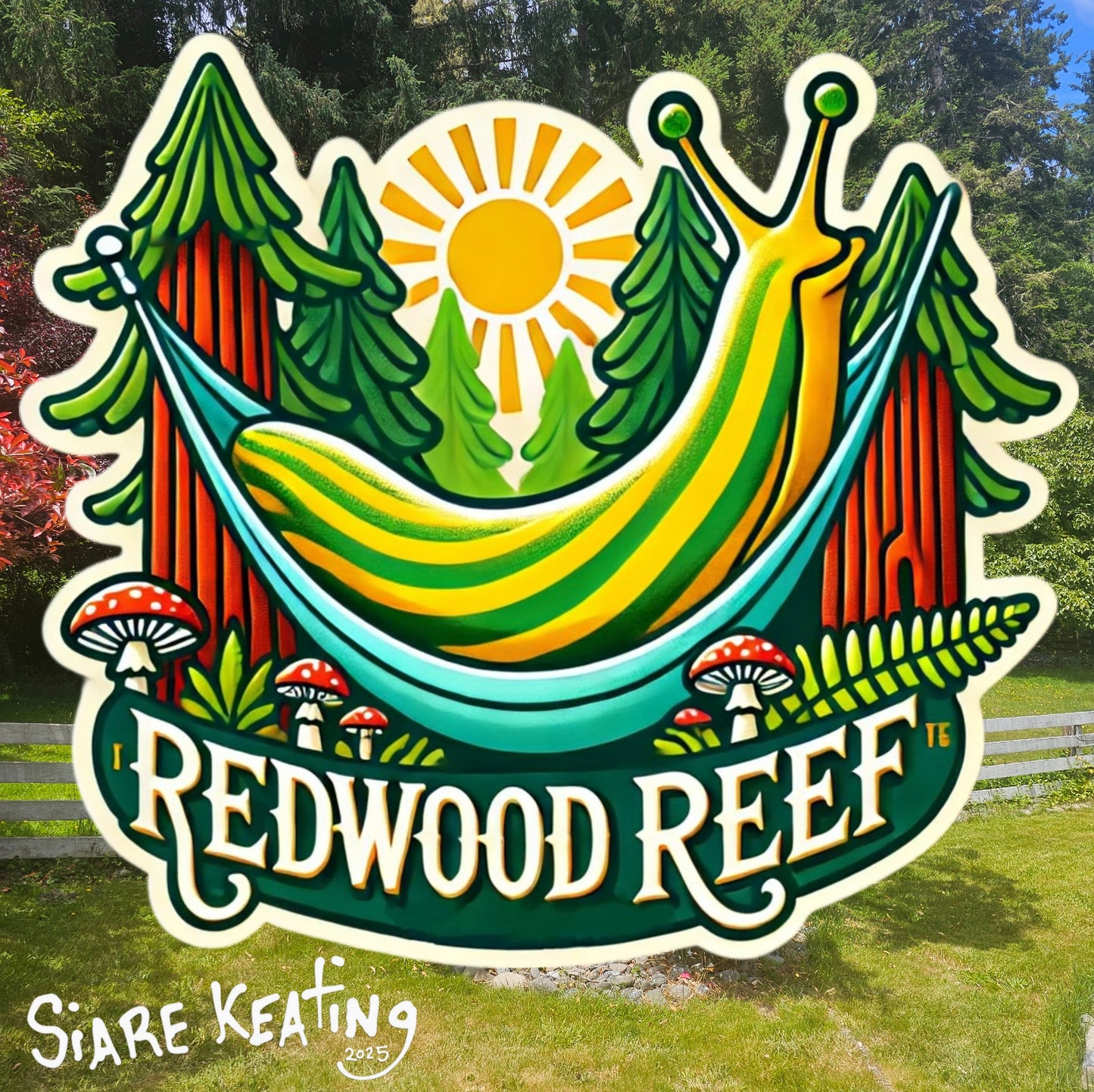 Hammock Slug: Relaxation Among the Redwoods