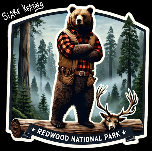 REDWOOD NATIONAL PARK BEAR – THE FOREST GUARDIAN 🌲