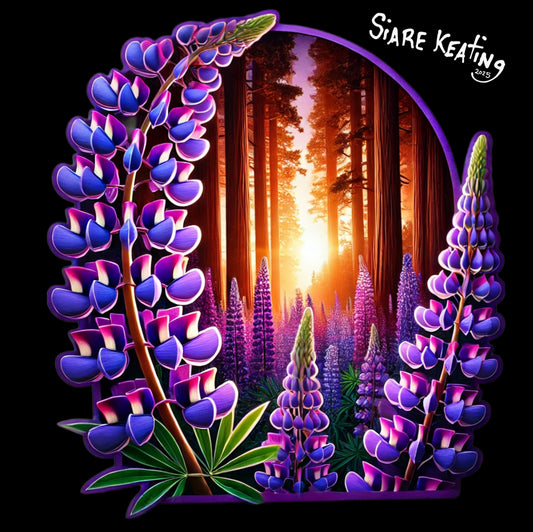 Lupine Glow: Where Wildflowers Meet Redwood Sunrises