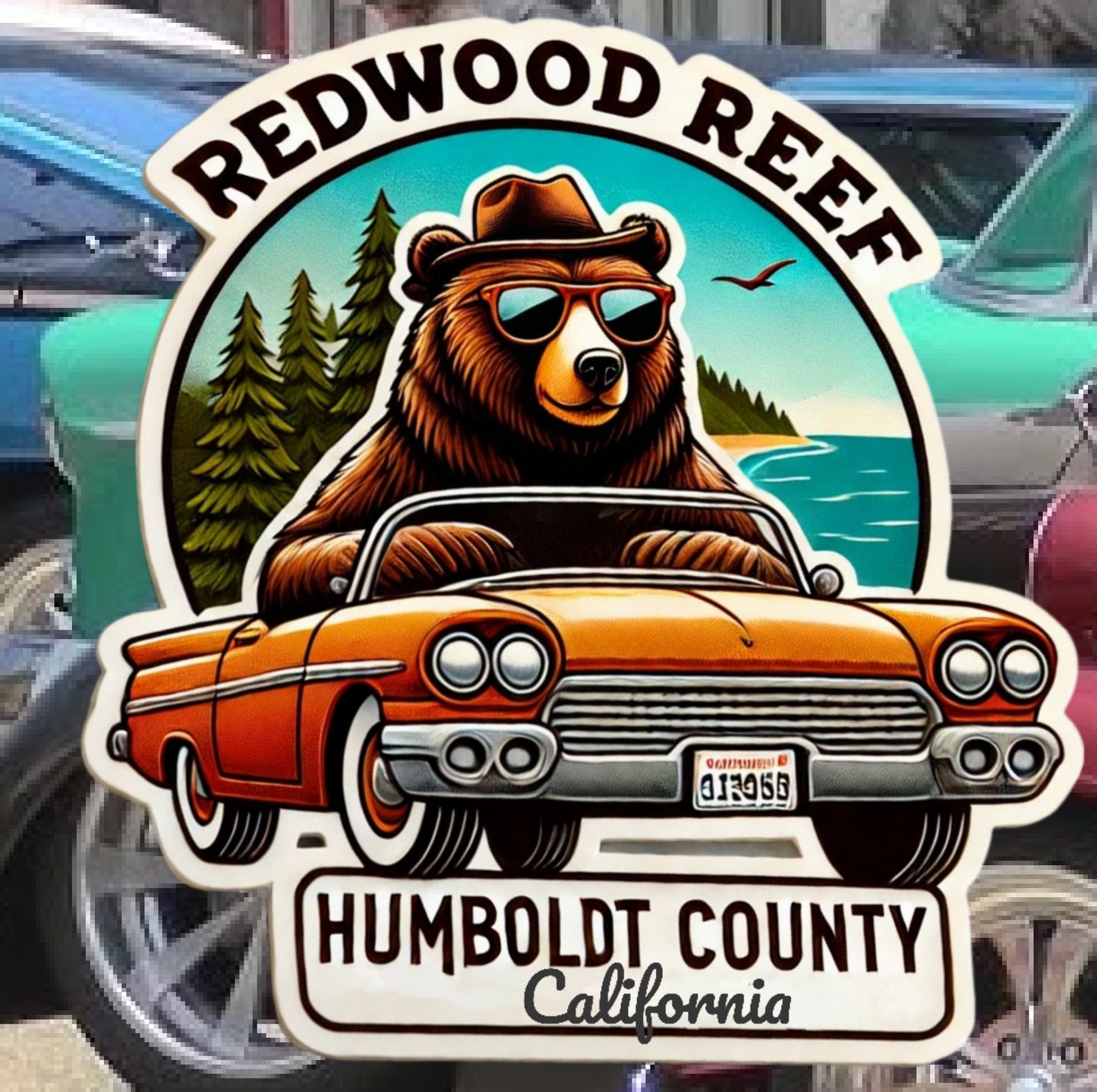 Cruisin’ Humboldt: Redwood Reef’s Legendary Drive