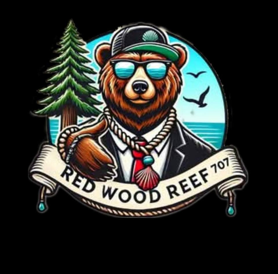 HUMBOLDT COUNTY BEAR – ROOTED IN THE WILD 🌲